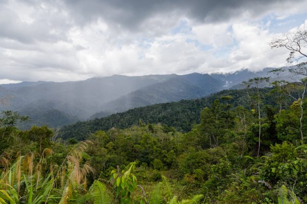Keindahan Alam dan Keanekaragaman di Taman Nasional Banjaran Crocker