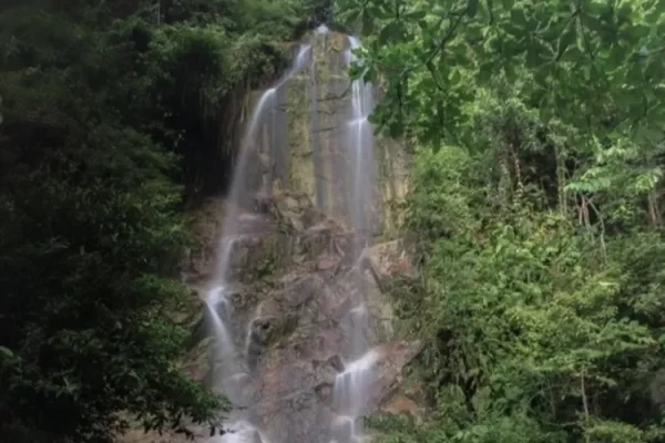 Keindahan Alam dan Keanekaragaman di Taman Nasional Bukit Tiban
