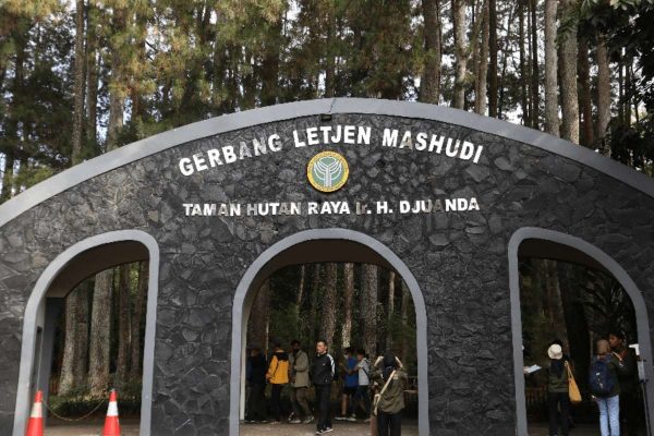 Keindahan dan Keanekaragaman Taman Hutan Raya Ir. H. Djuanda