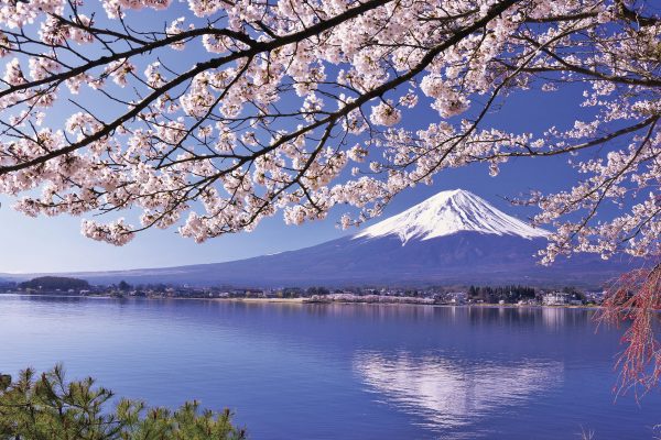 Keindahan Taman Nasional Fuji-Hakone-Izu: Pesona Alam Jepang