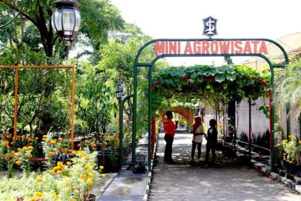 Taman Edukasi Avros: Wisata Edukasi Menarik di Surabaya
