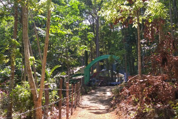 Keindahan Alam dan Keanekaragaman Hayati di Taman Nasional Bulabog Putian