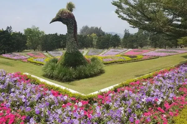 Mengenal Keindahan dan Fasilitas Taman Terbaik di Indonesia