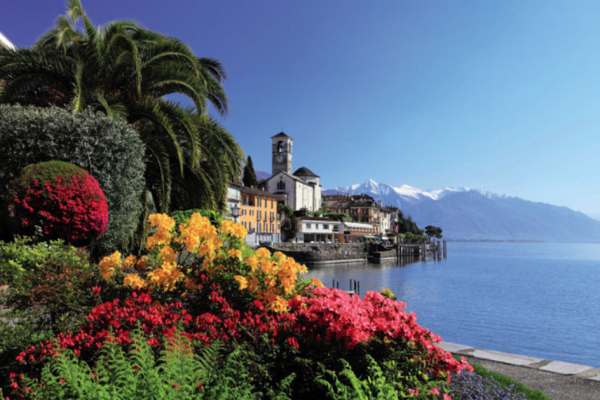Keindahan dan Keunikan Pulau Taman Brissago di Swiss