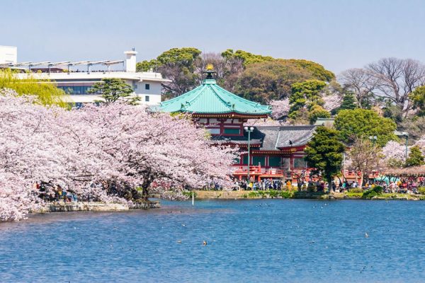 Taman Ueno: Taman Hijau Bersejarah di Tengah Kota Tokyo