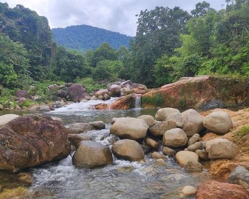 Keindahan Alam Taman Nasional Pulong Tau di Kalimantan Selatan