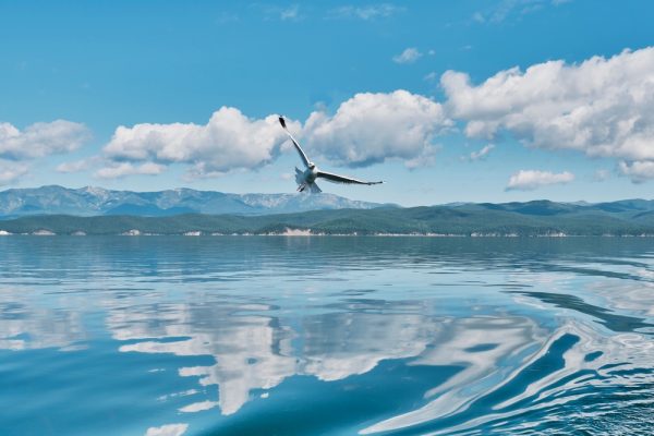 Keindahan Alam Taman Nasional Zaybaykalsky di Siberia