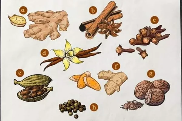 Le Paradis du Safran: Surga Rempah-rempah di Tanah Indonesia