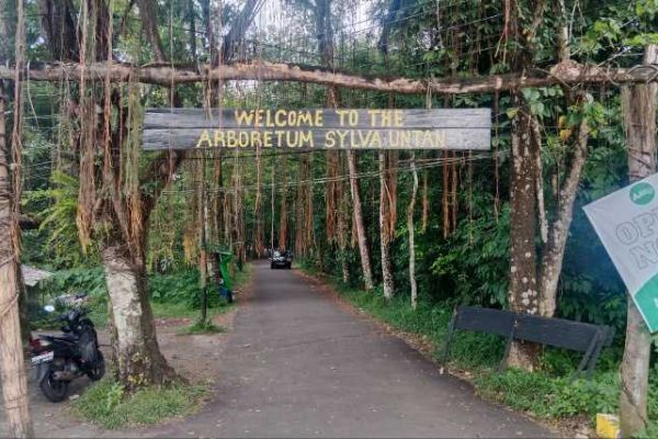 Taman Arboretum: Keindahan Alam dan Keanekaragaman Flora Indonesia