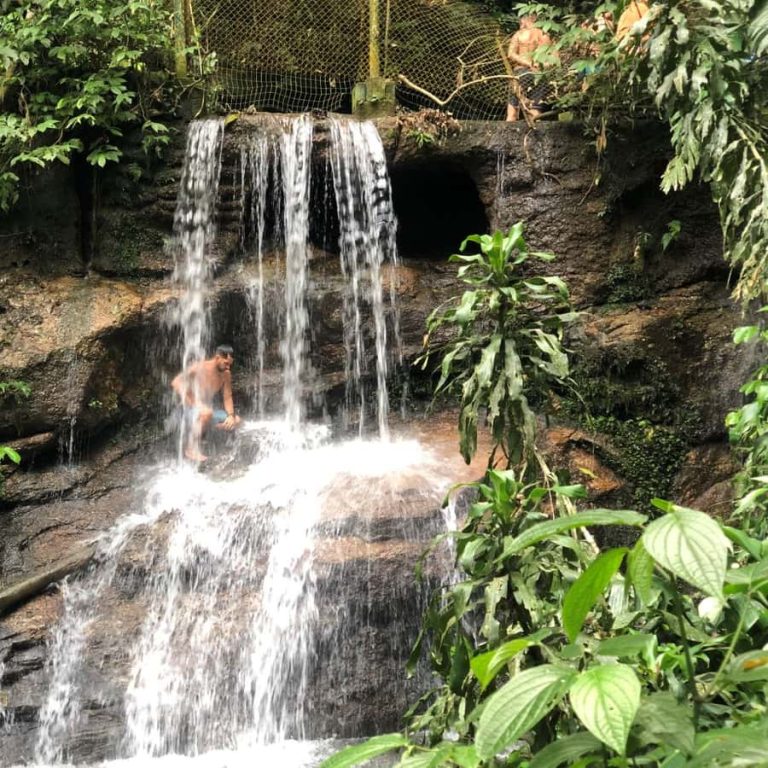 Keindahan Alam dan Keanekaragaman di Taman Nasional Tijuca